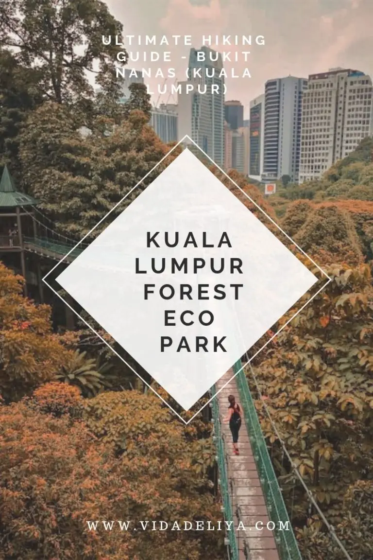Hiking at Kuala Lumpur Forest eco park hiking Guide, Bukit Nanas - Doing Life with Iuliya
