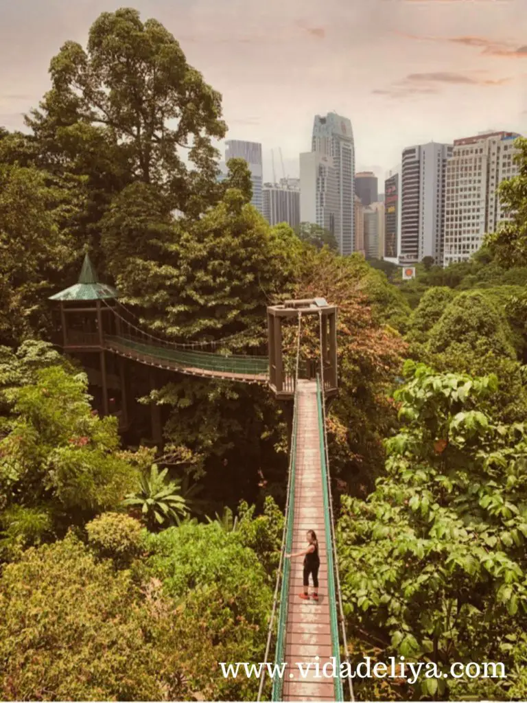 41. Canopy Walk - Kuala Lumpur Forest Eco Park - Bukit Nanas