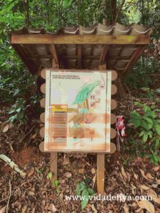 25. Suboh Trail - Kuala Lumpur Forest Eco Park - Bukit Nanas - 432kb