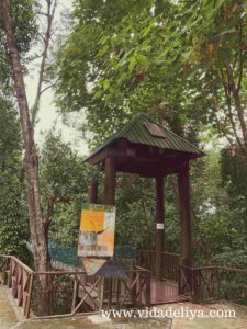 35. Jelutong - Kuala Lumpur Forest Eco Park - Bukit Nanas - 527kb