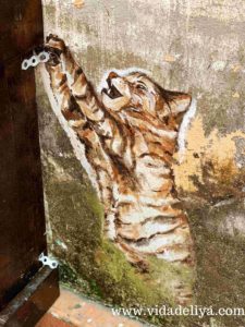 Discover Kuching Malaysia: Most Instagrammable Street Art in City of Cats (Borneo) - Little India - Power Street