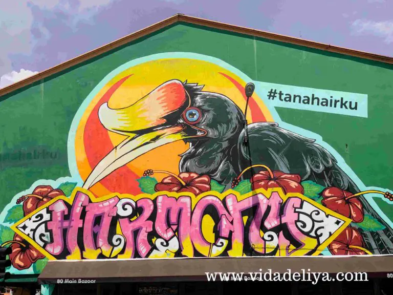 Discover Kuching Malaysia: Most Instagrammable Street Art in City of Cats (Borneo) - #tanahairku