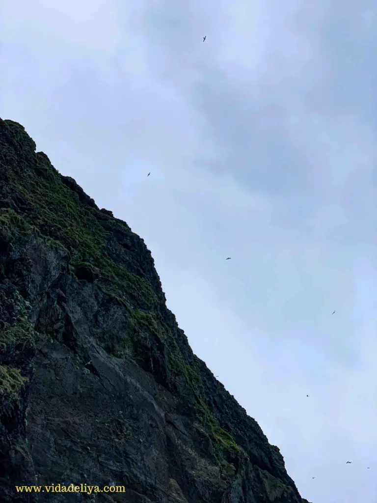 10. Reynisfjara Black Sand Beach, Vik Iceland