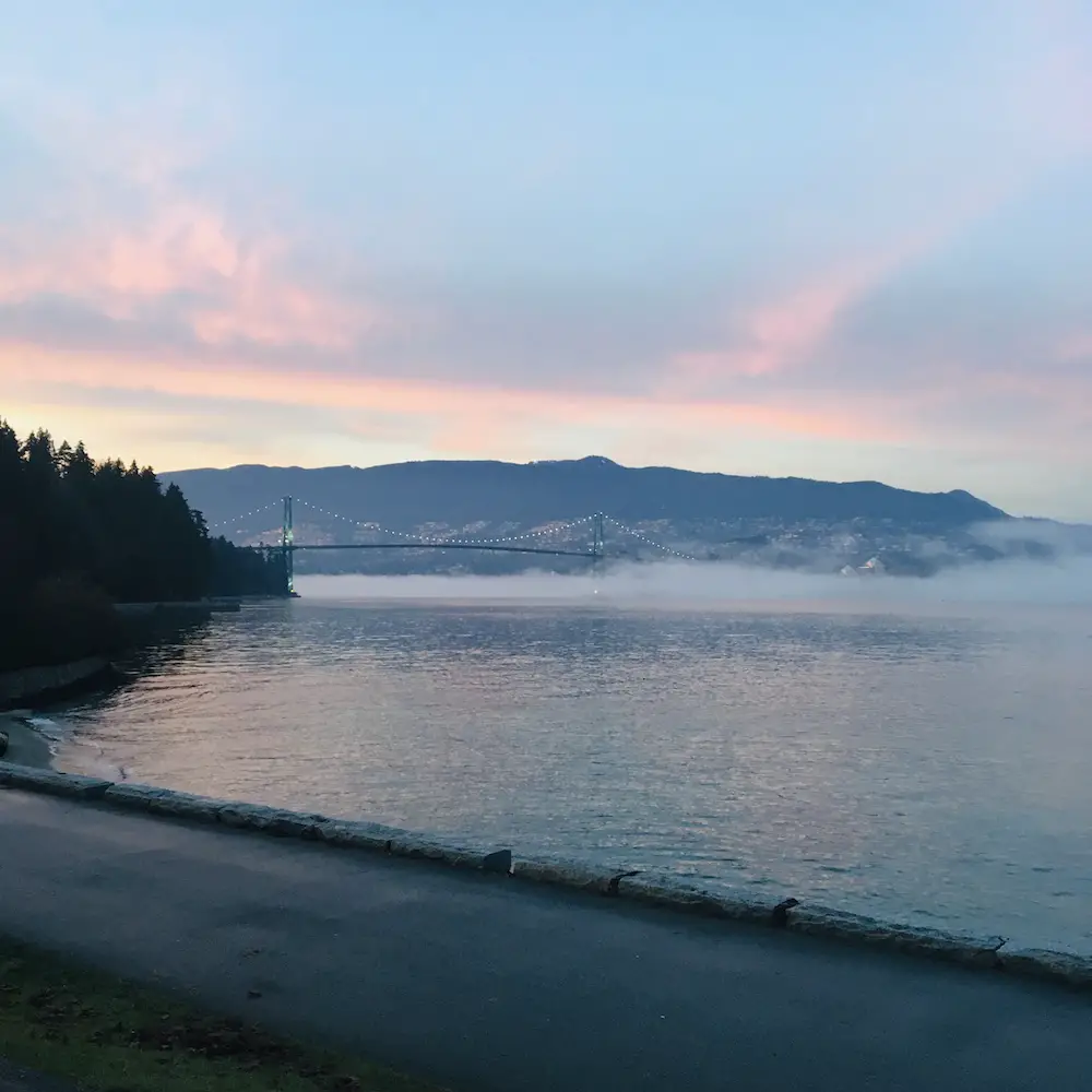 British Columbia, Canada - Stanley Park in December