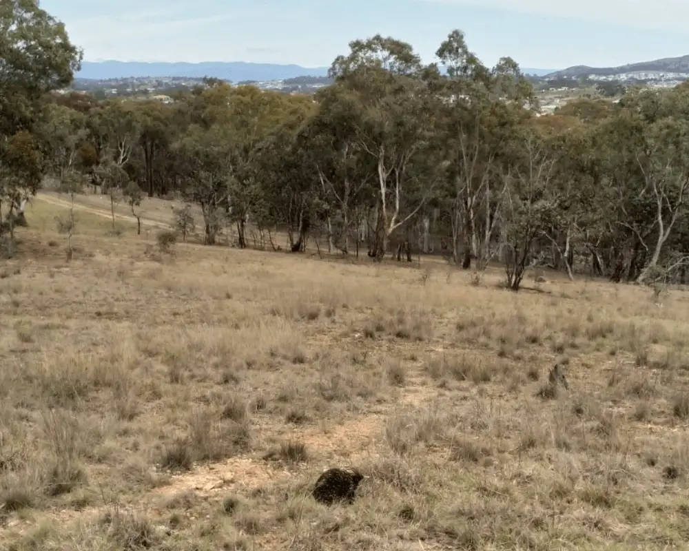 Canberra, Australia