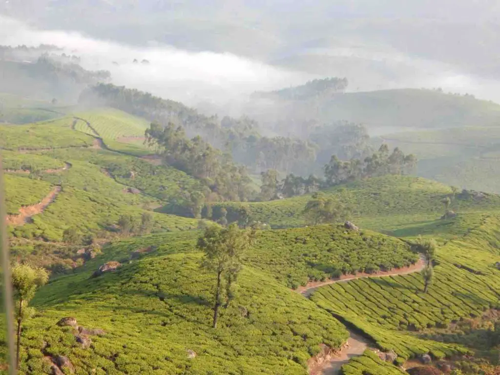 Kerala, India