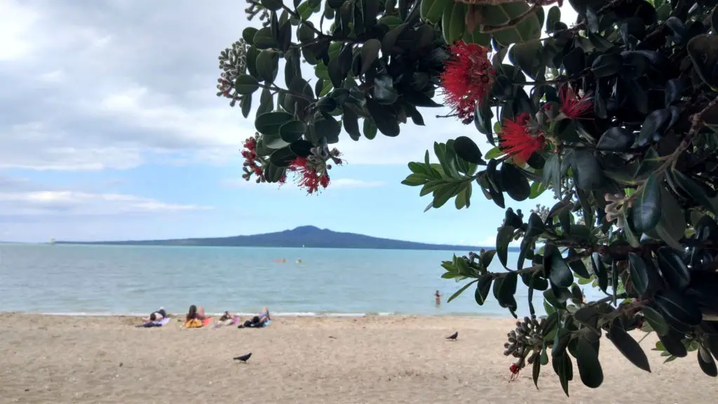 North Island, New Zealand - December on Mission Bay Beach, Auckland