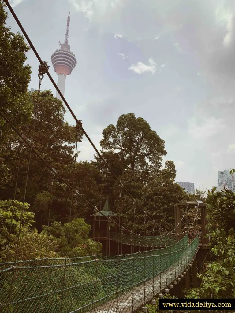 18. Kuala Lumpur Forest Eco Park - Bukit Nanas