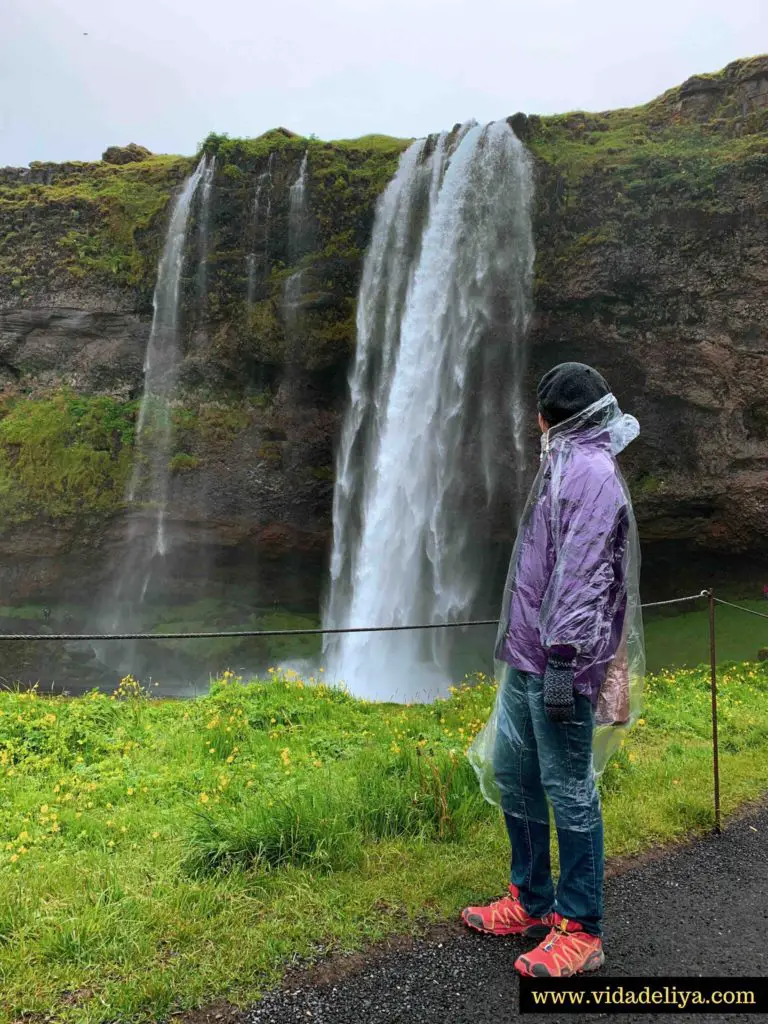 4.0 Seljalandsfoss Waterfall