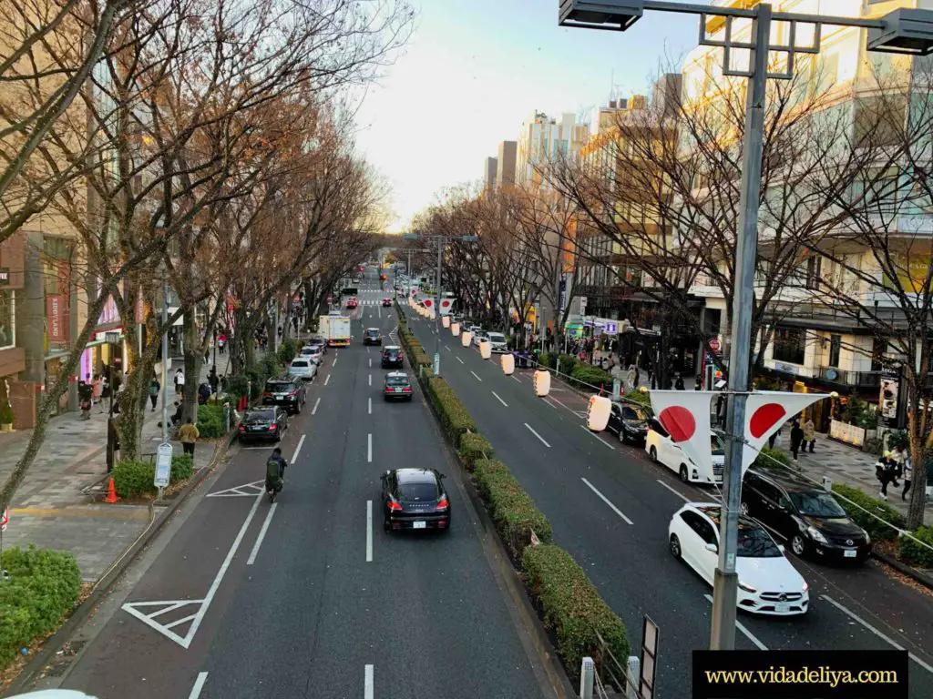 View of Omotesando from the overhead bridge for pedestrians on a wintry afternoon