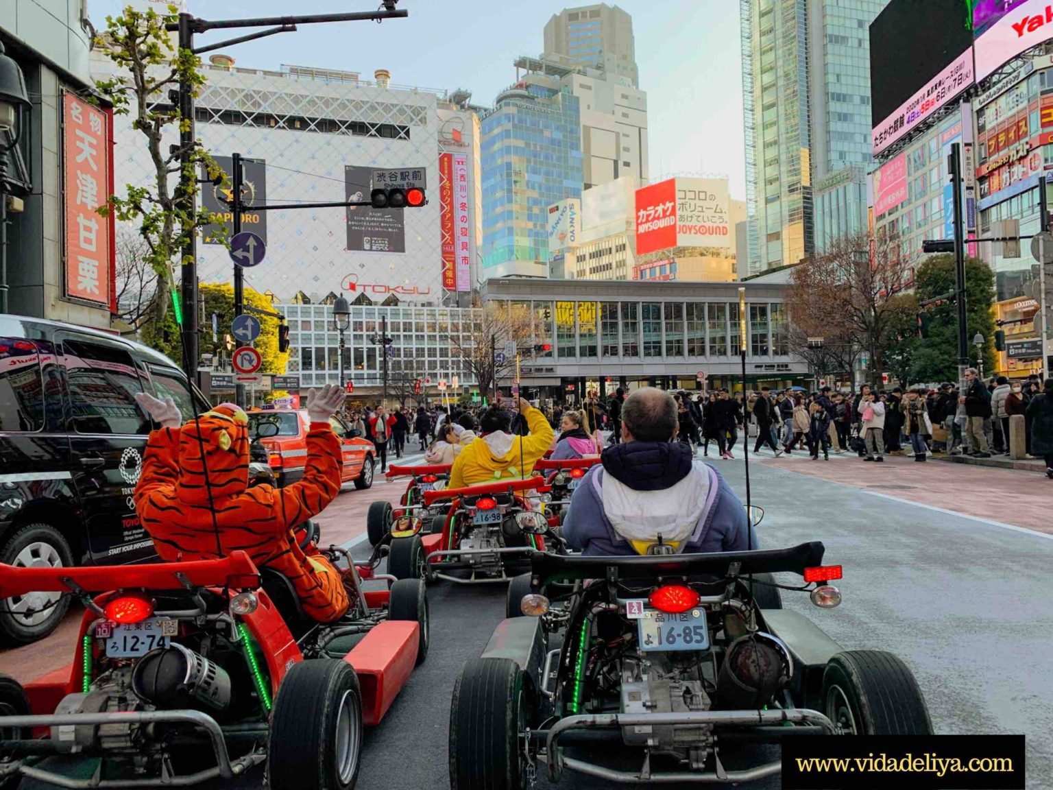 Ultimate Guide to Tokyo Mario Kart Racing Japan Travel Itinerary Doing Life with Iuliya