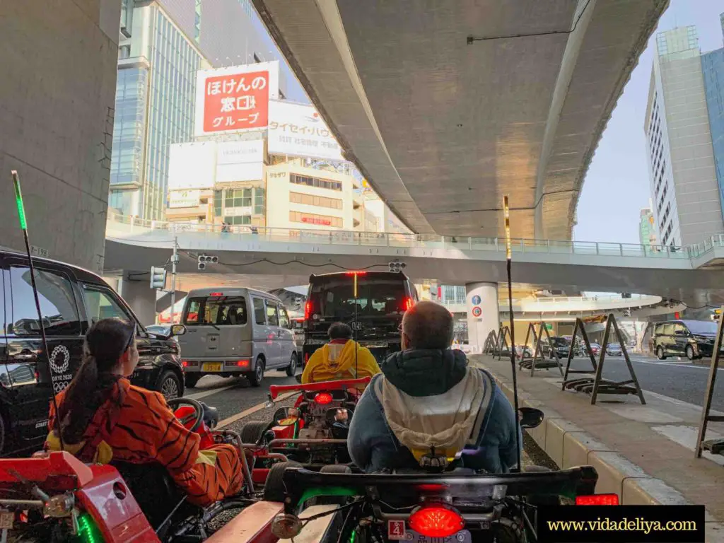 Beneath a bridge in Tokyo, Japan in a go-kart