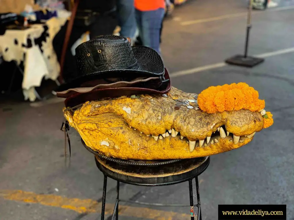 35. Chatuchak Market Bangkok Thailand - crocodile skinned products