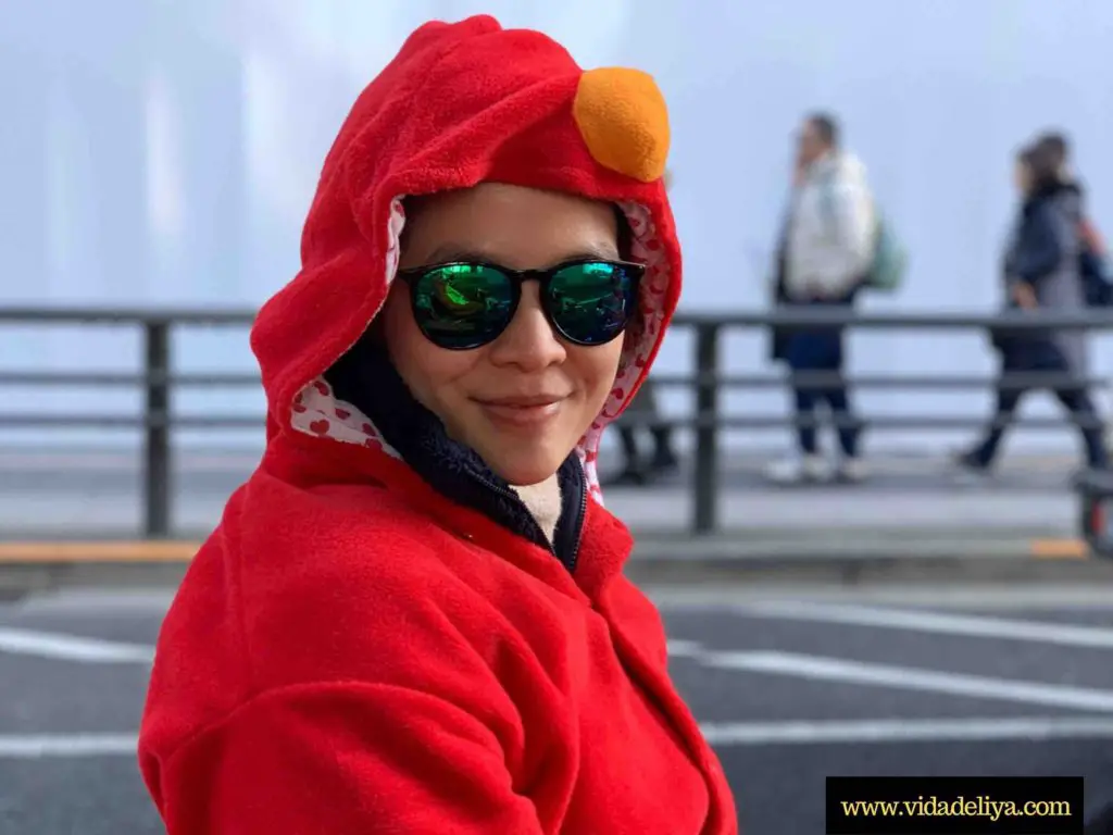 Elmo outfit for Mario go kart adventure in Tokyo