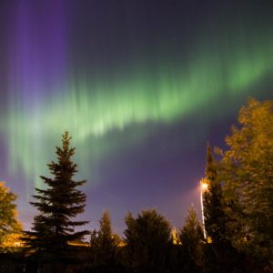 Northern Lights at Alberta, Canada
