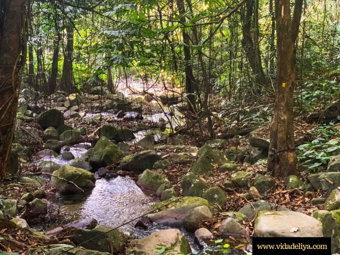 12. Gunung Nuang via Pangsun - first river crossing