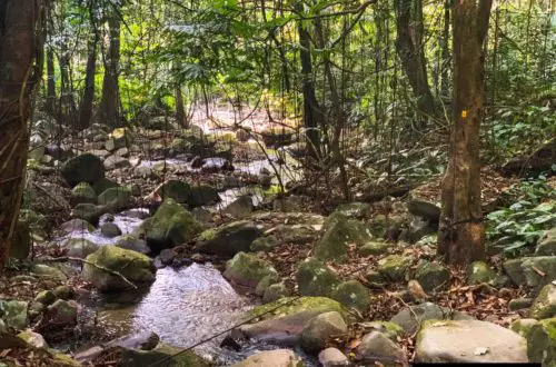 12. Gunung Nuang via Pangsun - first river crossing