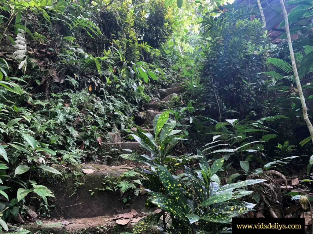 13. endless steps going up to Nuang river crossing