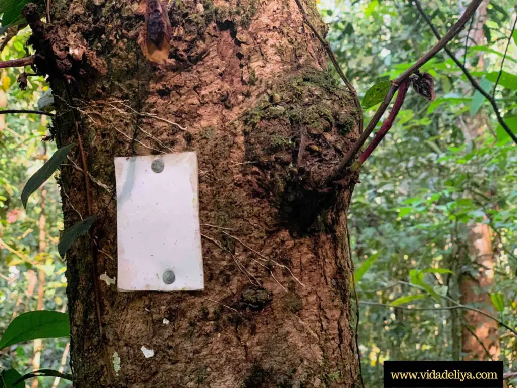 15. Metal signposts found along the Gunung Nuang hike