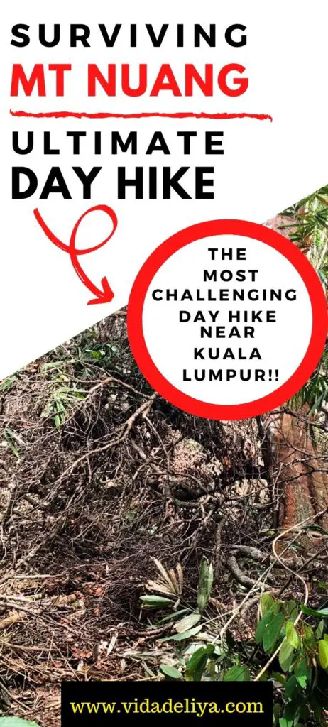 Pinterest Ultimate Guide to Surviving Gunung nuang Hulu Selangor Malaysia - most difficult day hike in Peninsula Malaysia